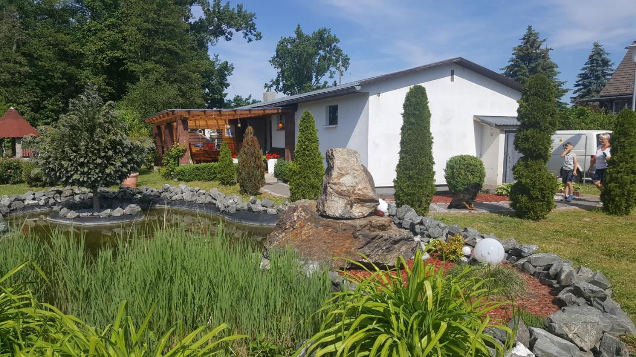 Ferienhaus Am Teich Rottleberode Exterior photo